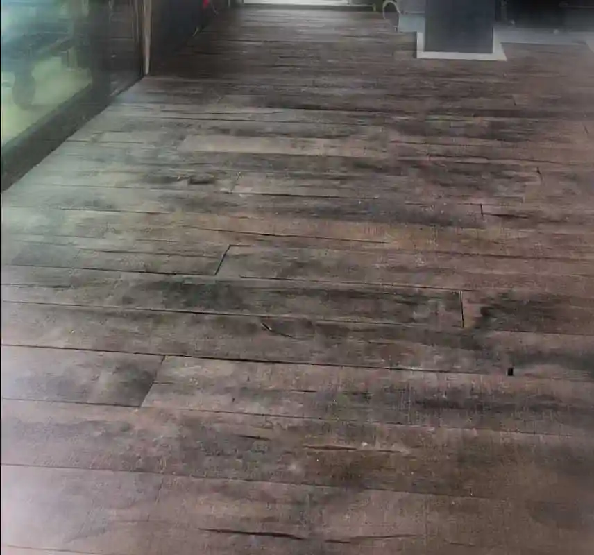 das Foto zeigt ebenso Bodendielen